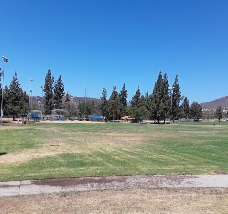 Soccer Field image 2