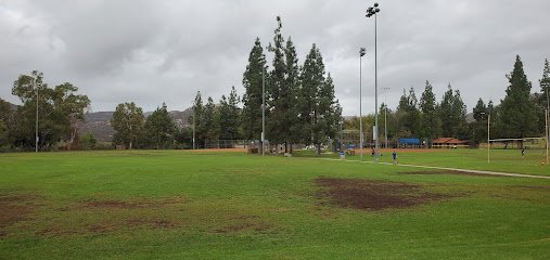 Soccer Field image 1