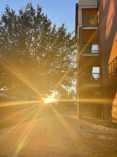 Soccer Field image 1