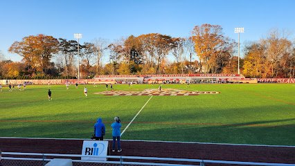 Soccer Field image 1