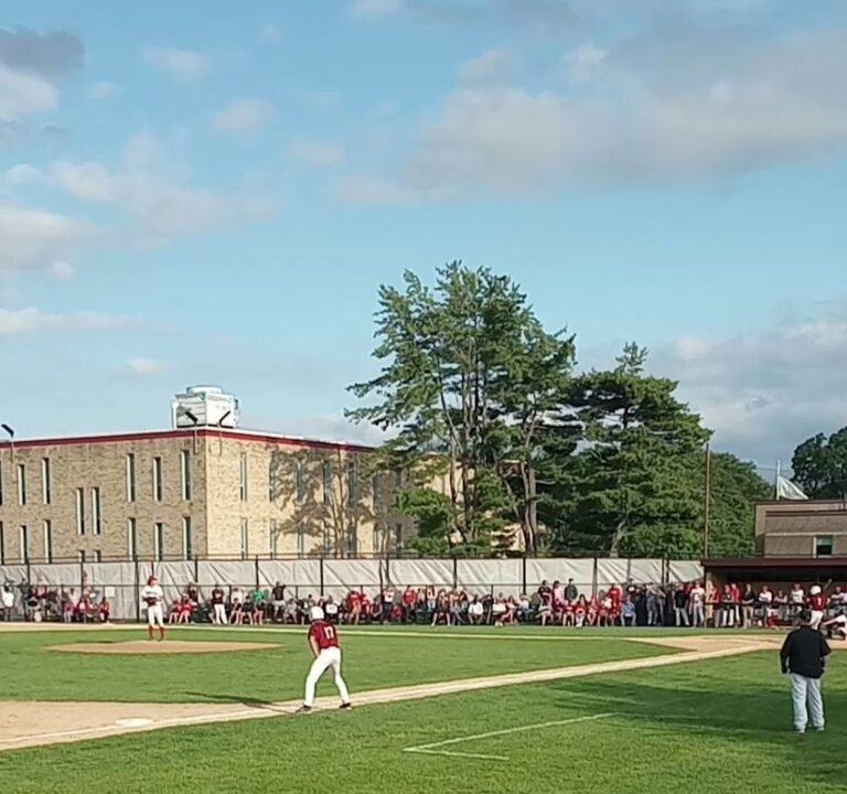 Soccer Field image 4