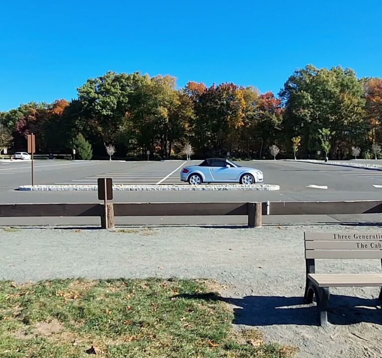 Soccer Field image 3