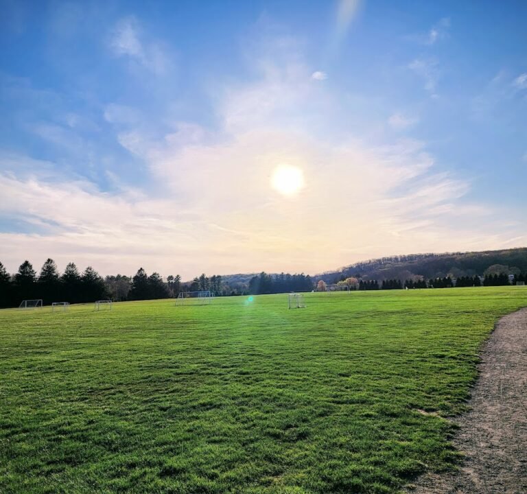 Soccer Field image 2