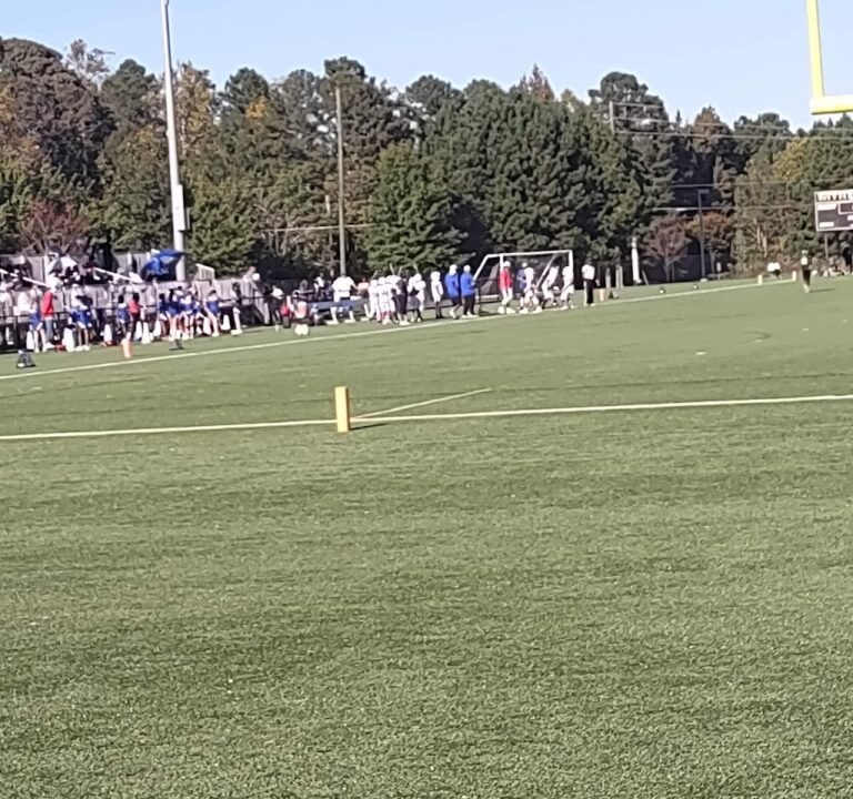 Soccer Field image 2