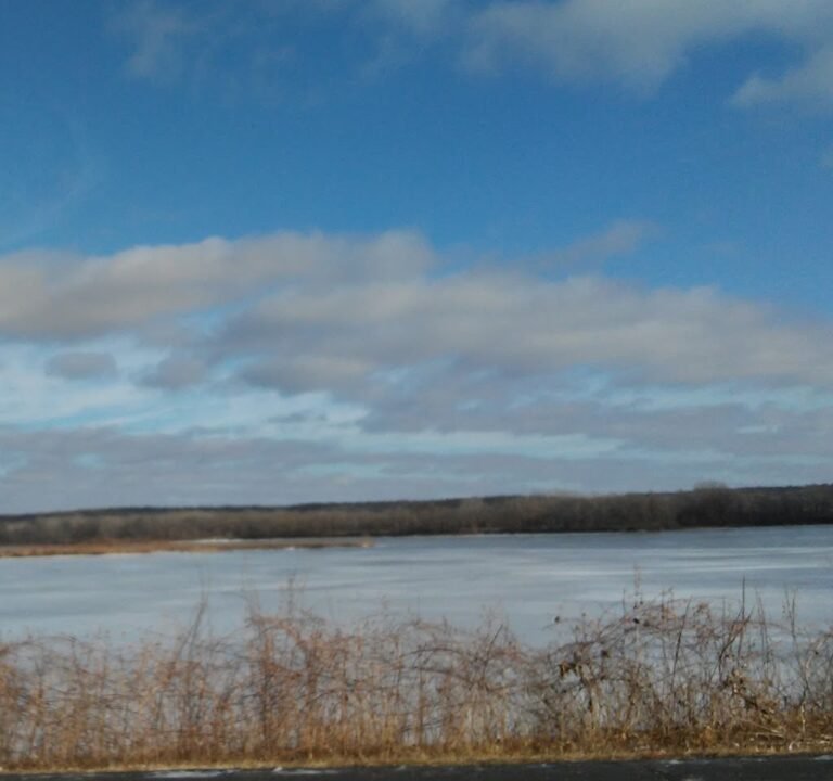 Soccer Field image 2