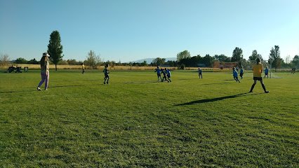 Soccer Field image 1