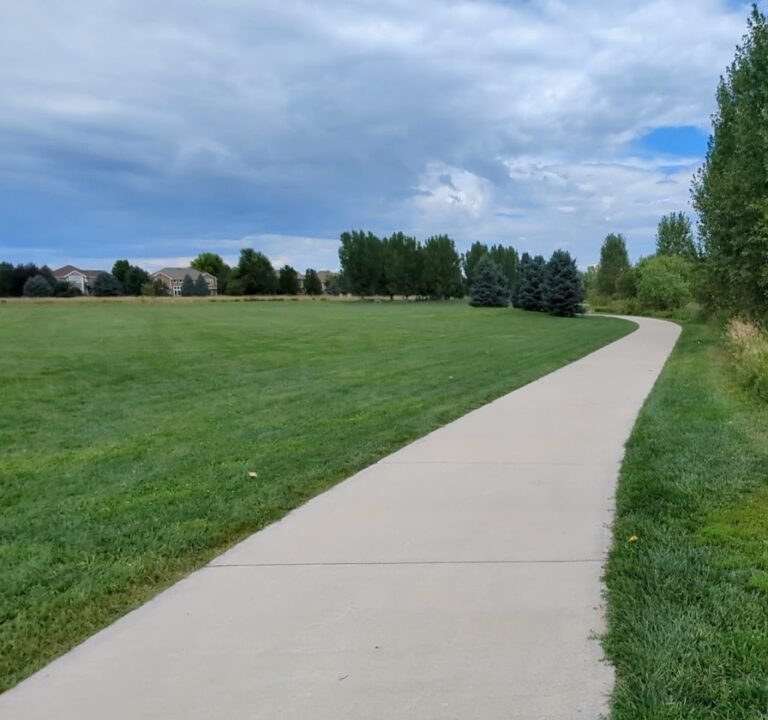 Soccer Field image 3