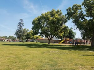 Soccer Field image 1