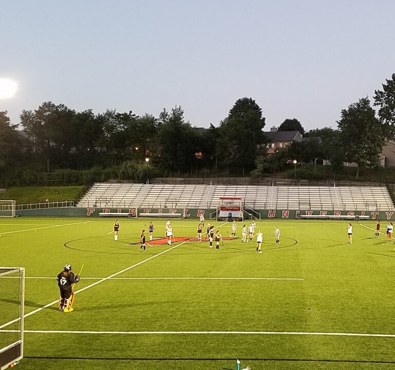 Soccer Field image 2