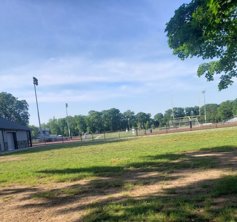 Soccer Field image 3