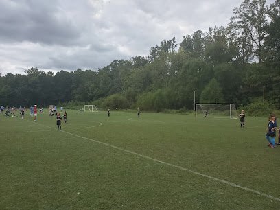 Soccer Field image 1