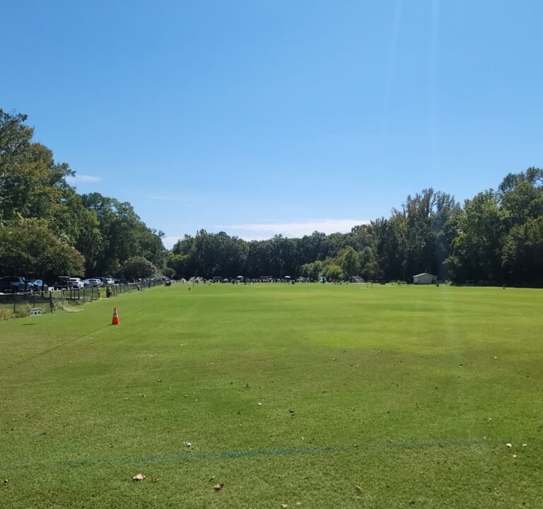 Soccer Field image 2