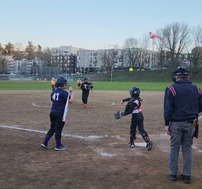 Soccer Field image 3