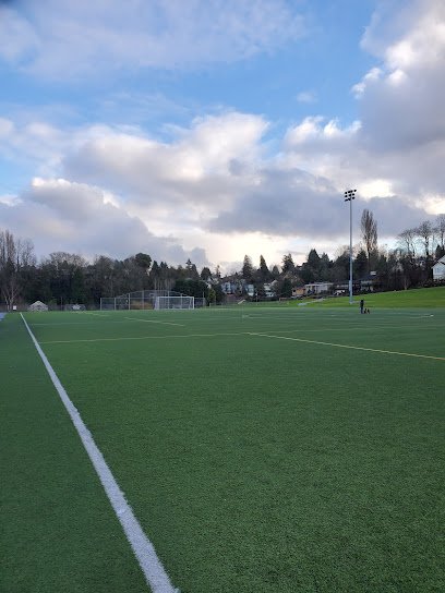 Soccer Field image 1