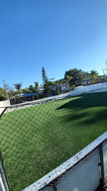 Soccer Field image 1
