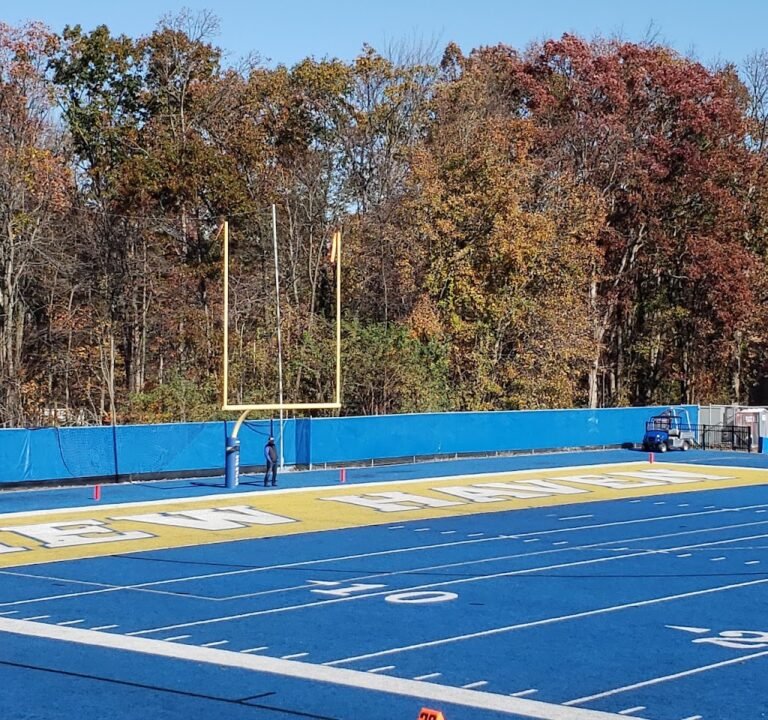 Soccer Field image 2