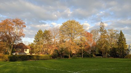 Soccer Field image 1