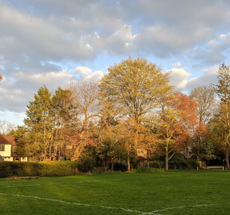 Soccer Field image 2