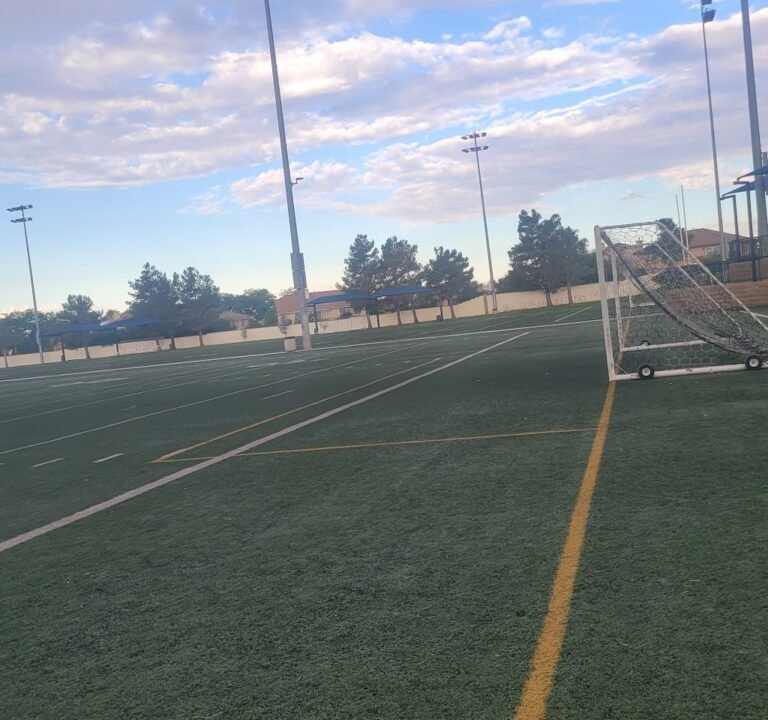 Soccer Field image 2