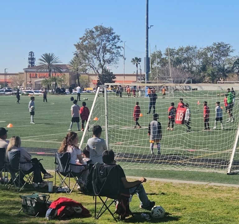 Soccer Field image 3