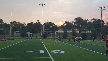 Soccer Field image 1