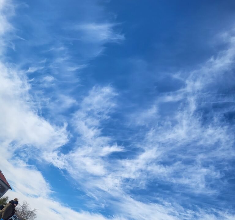 Soccer Field image 3