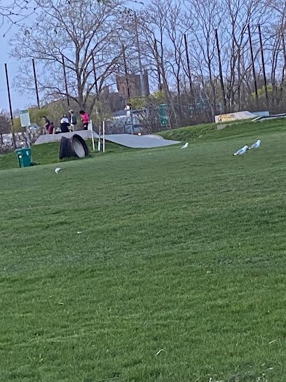 Soccer Field image 1