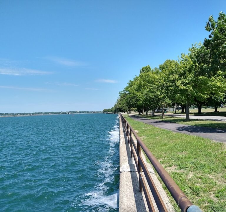 Soccer Field image 2