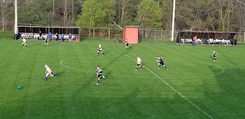 Soccer Field image 1