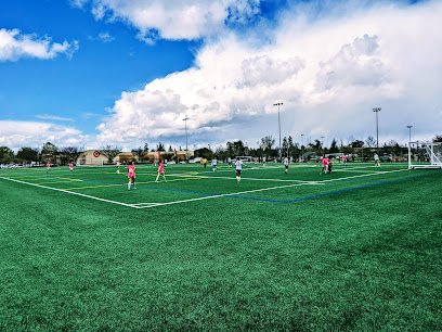 Soccer Field image 1