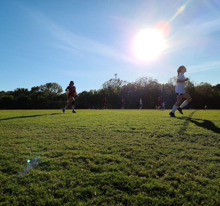 Soccer Field image 2