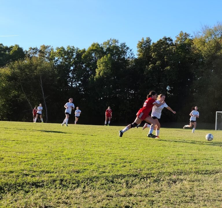 Soccer Field image 3
