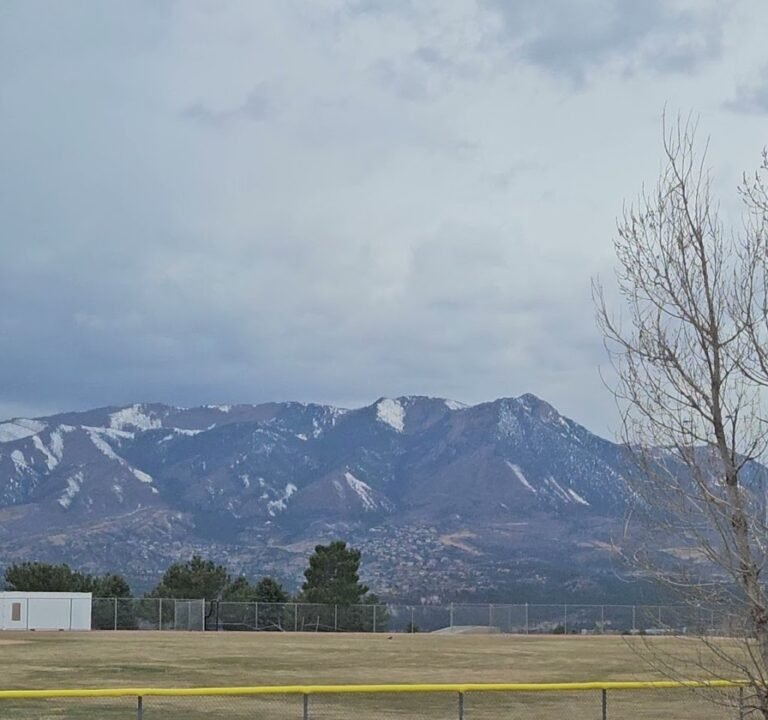 Soccer Field image 4