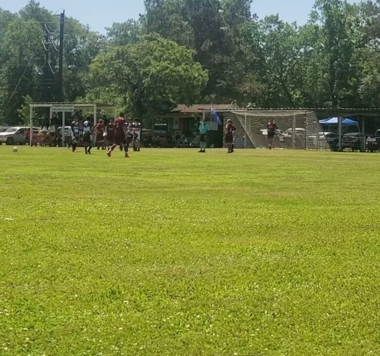 Soccer Field image 2