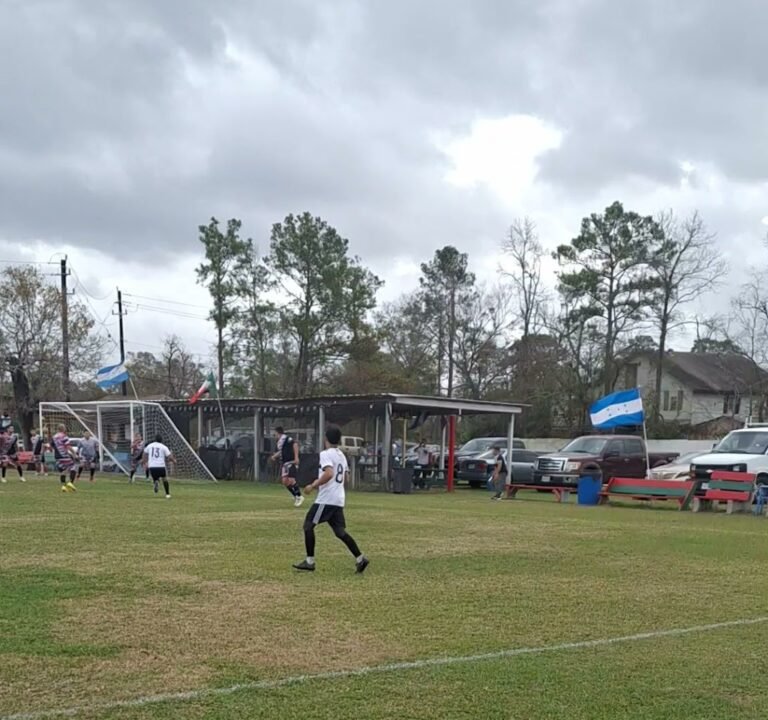 Soccer Field image 3