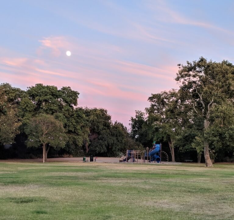 Soccer Field image 3