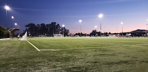 Soccer Field image 1