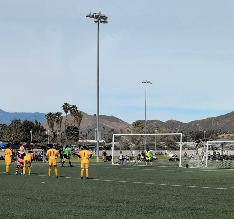 Soccer Field image 3