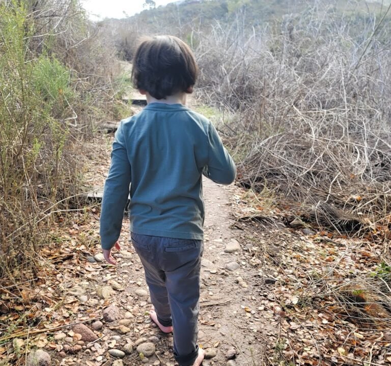 Soccer Field image 3