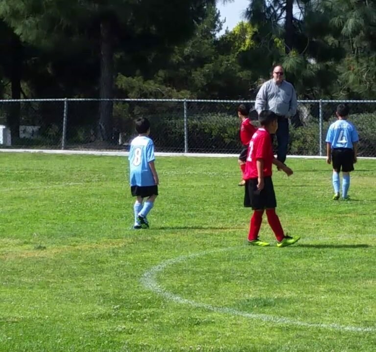 Soccer Field image 4