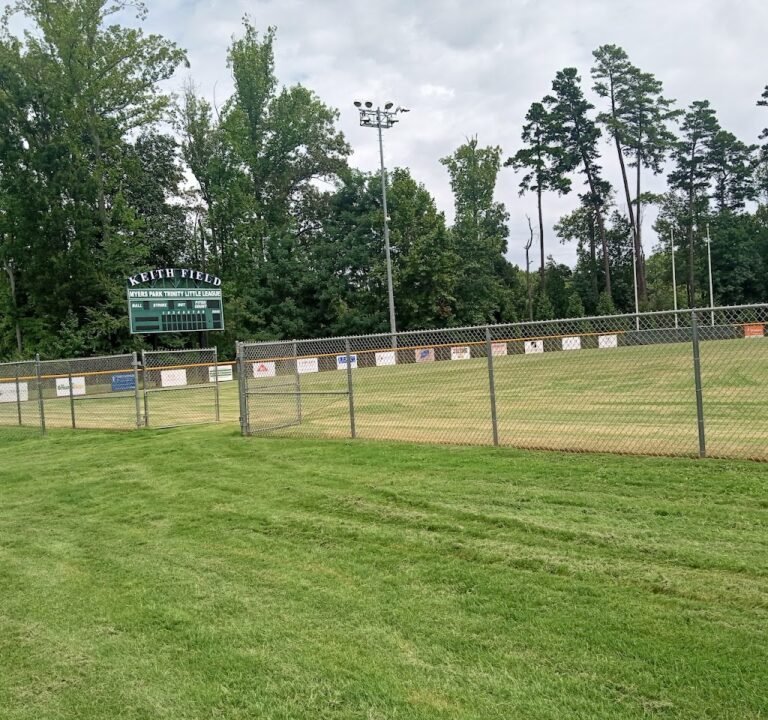 Soccer Field image 2