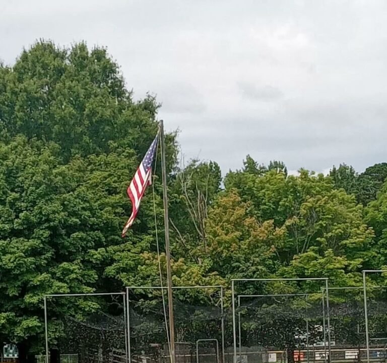 Soccer Field image 4