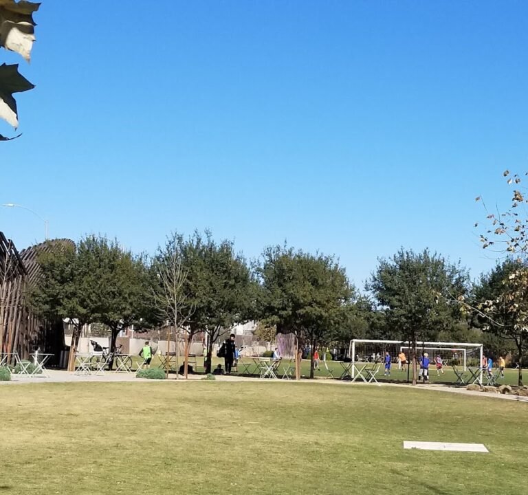 Soccer Field image 2