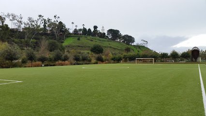 Soccer Field image 1