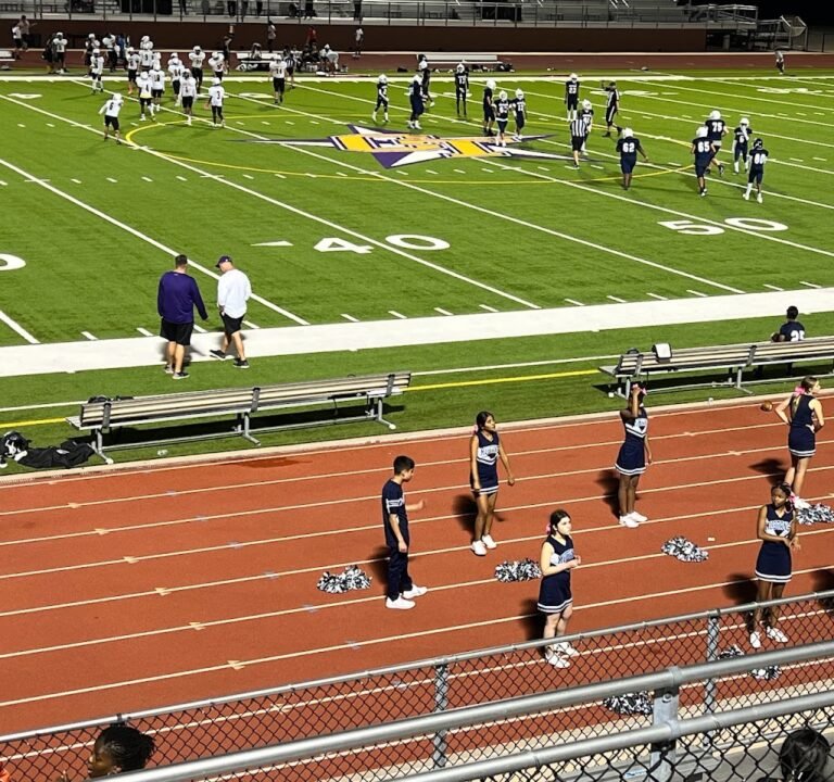 Soccer Field image 2