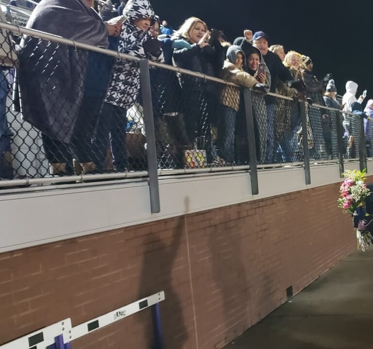 Soccer Field image 3