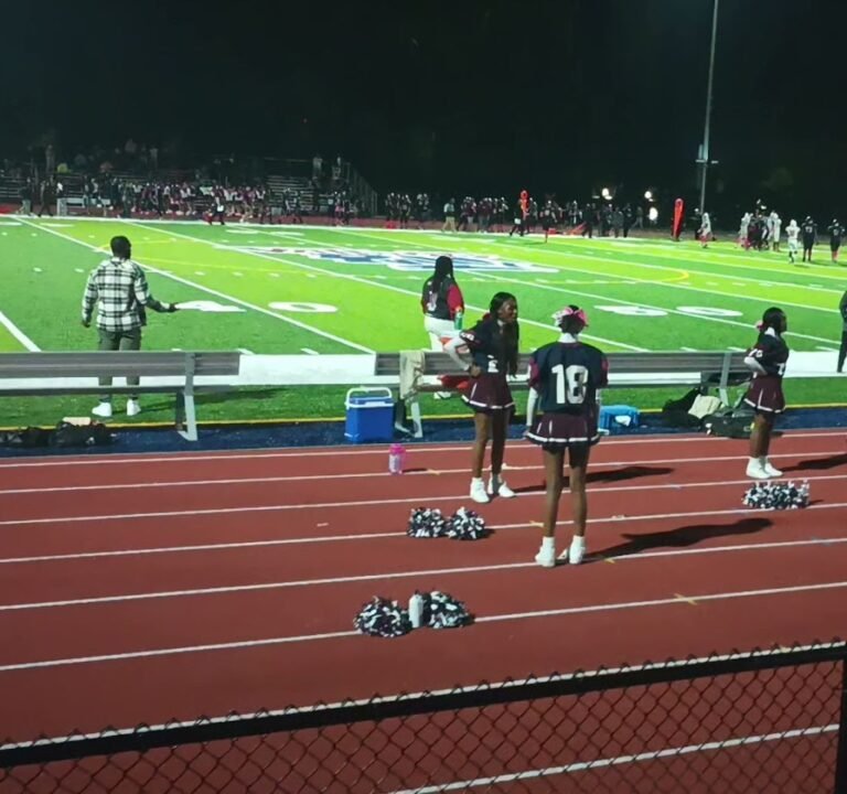 Soccer Field image 3