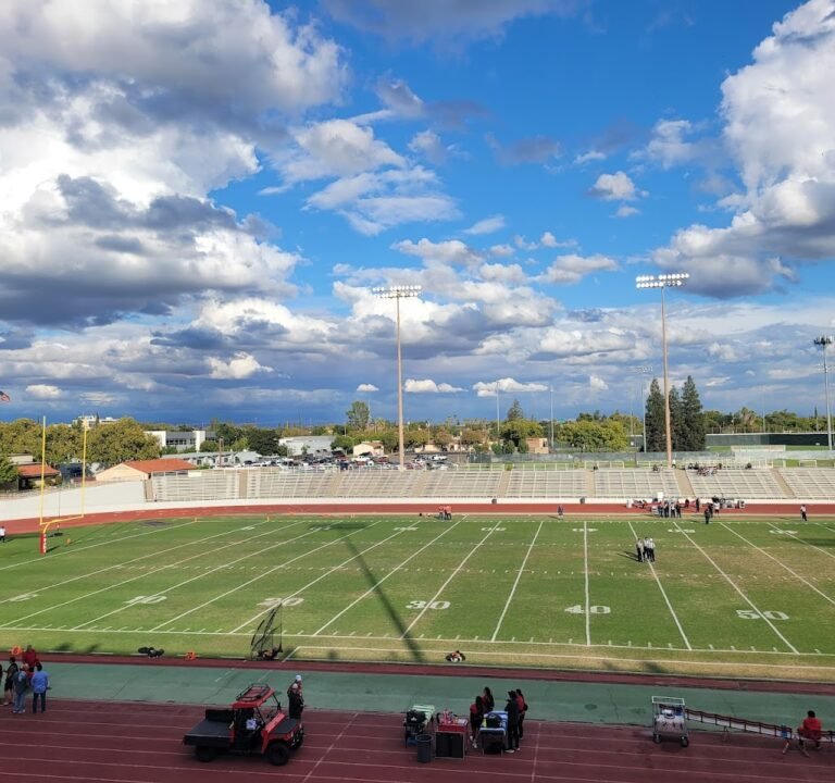 Soccer Field image 2