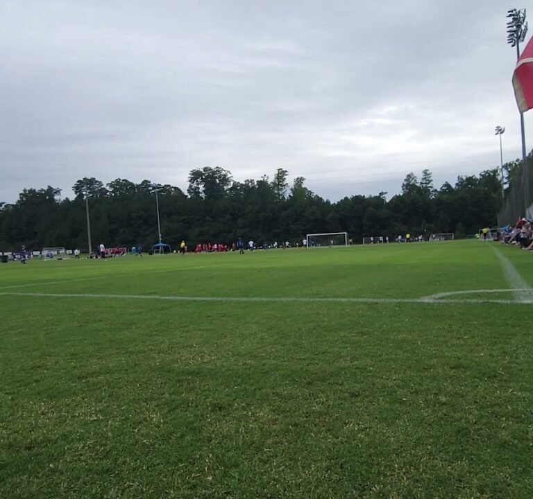 Soccer Field image 4