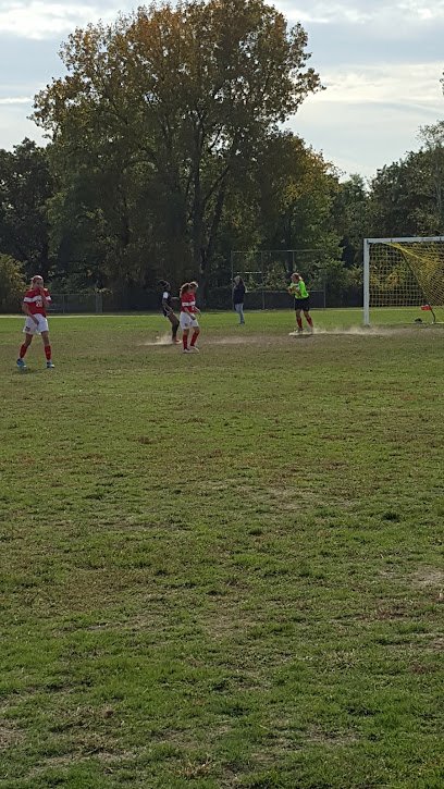 Soccer Field image 1